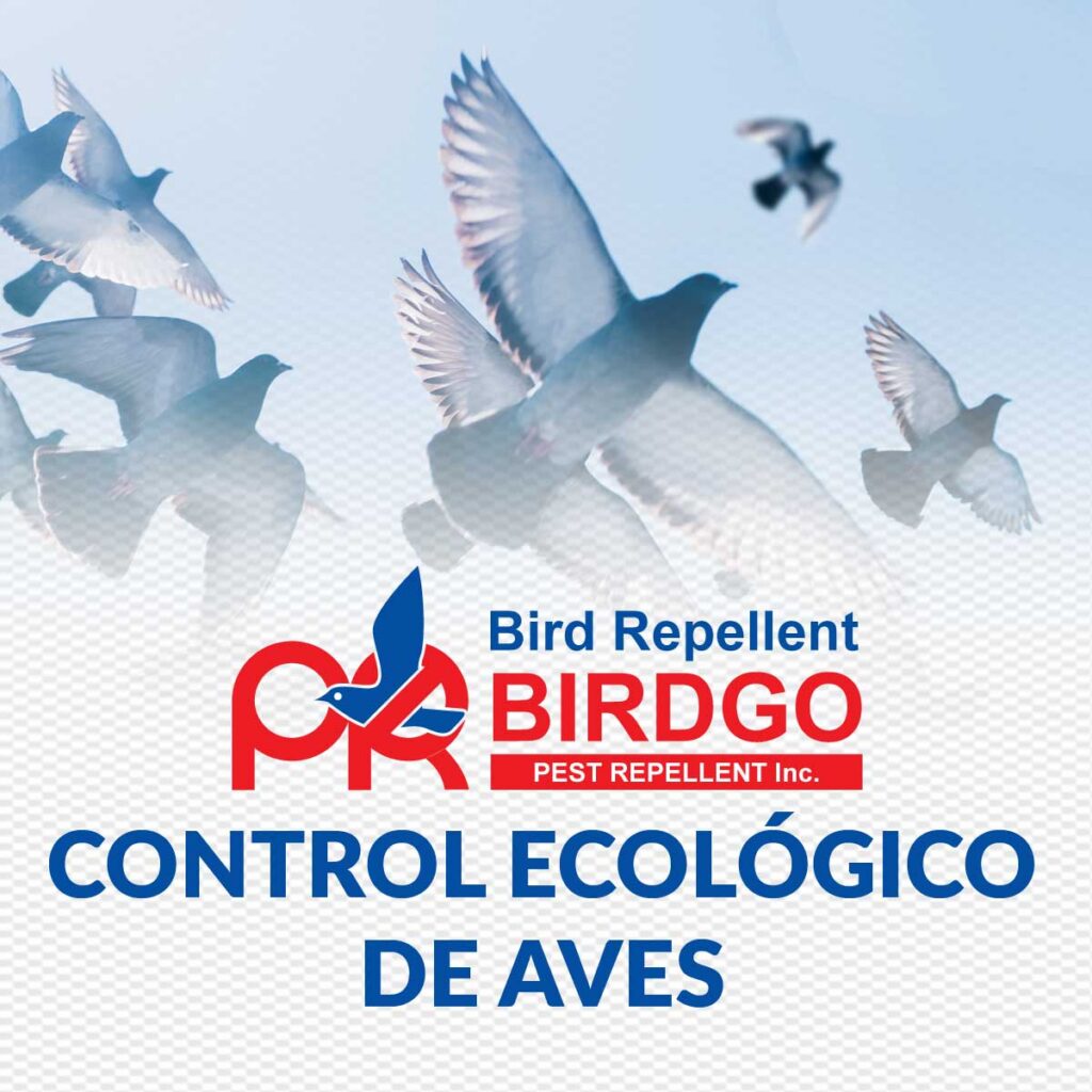 BirdGo control ecológico de aves